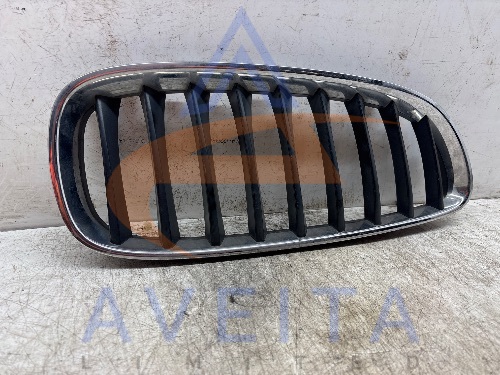 BMW Z4 2011 E89 Front Kidney Grille Right Side