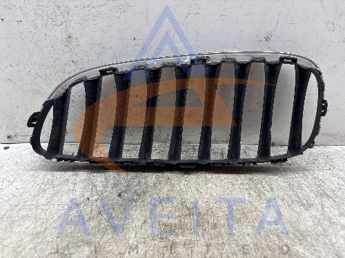 BMW Z4 2011 E89 Front Kidney Grille Right Side